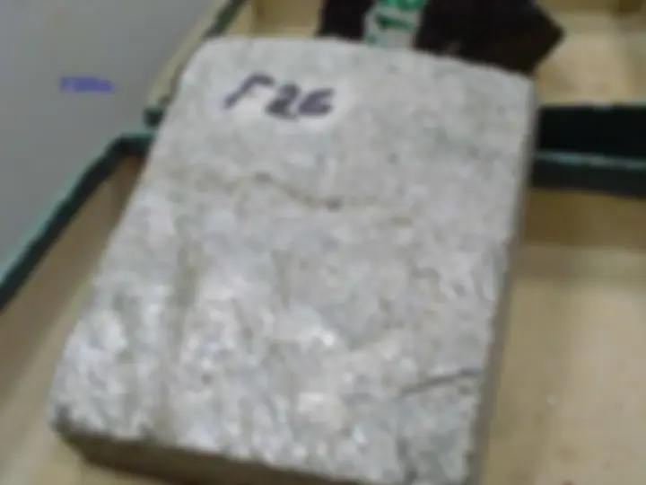 pf20