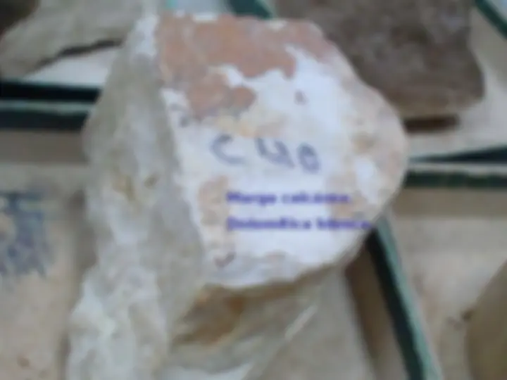 pf30