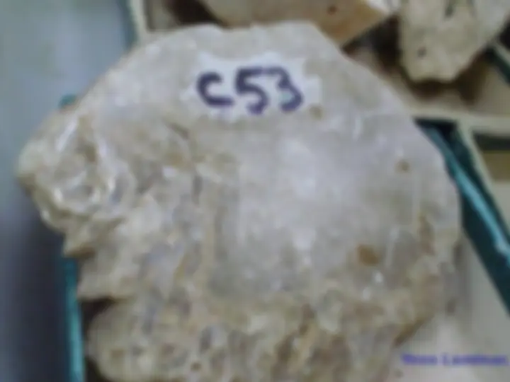 pf40