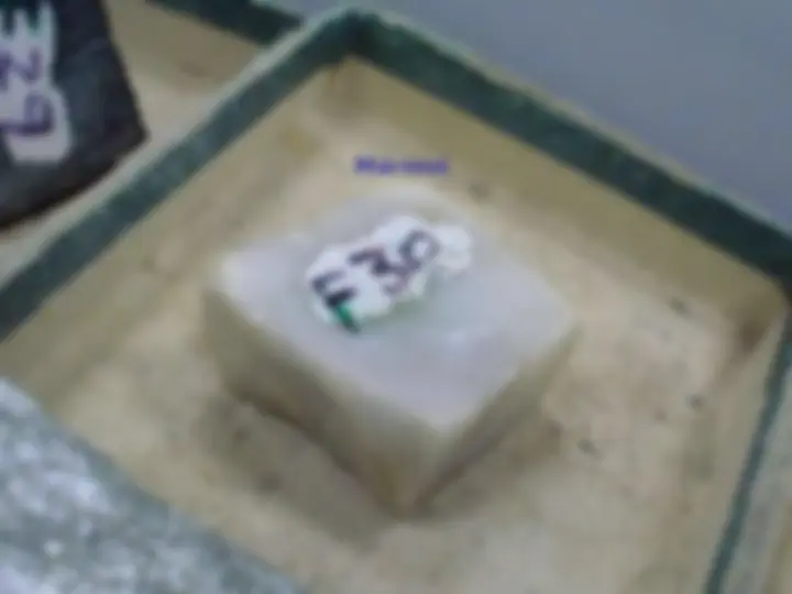 pf24