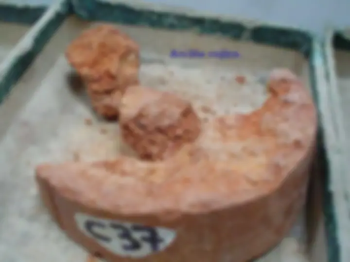 pf2c