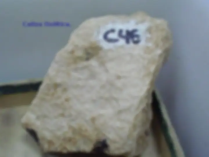 pf37