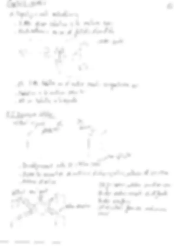 pf5b