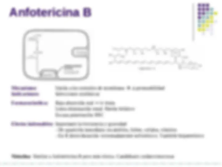 pf5
