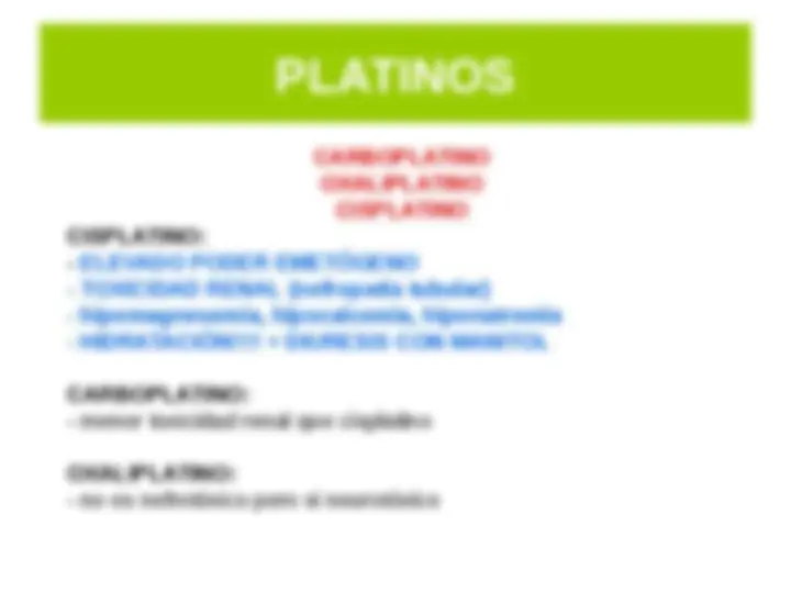 pf19