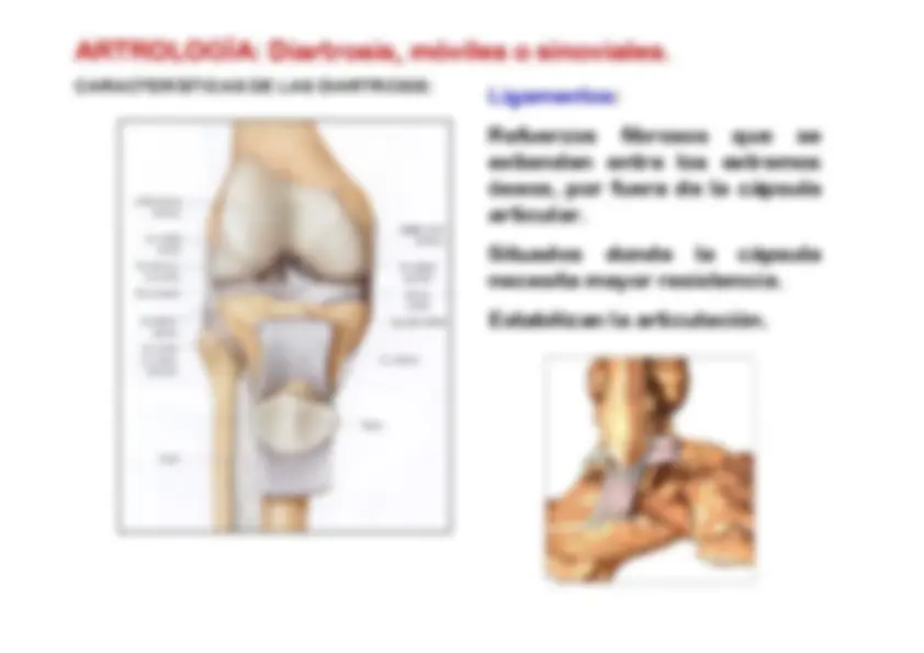 pf15