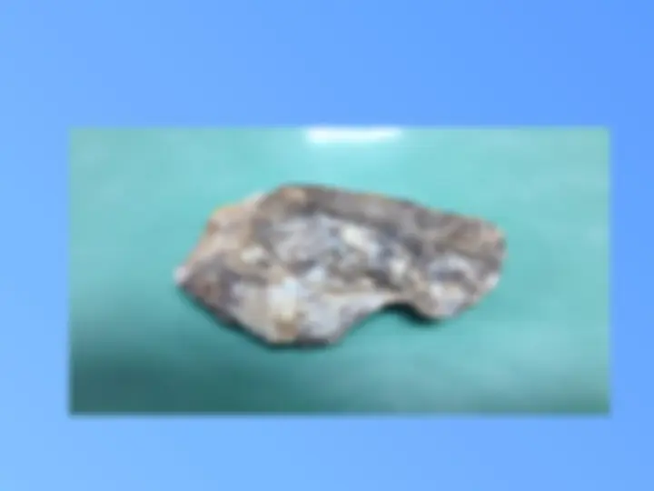 pf41