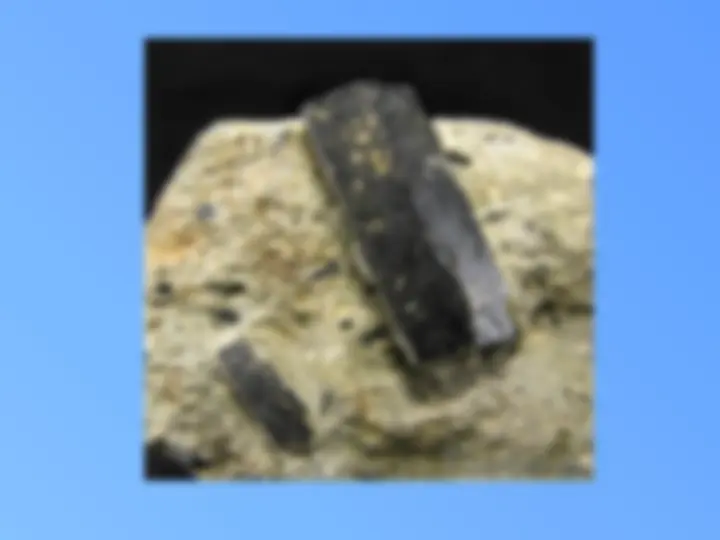 pf33