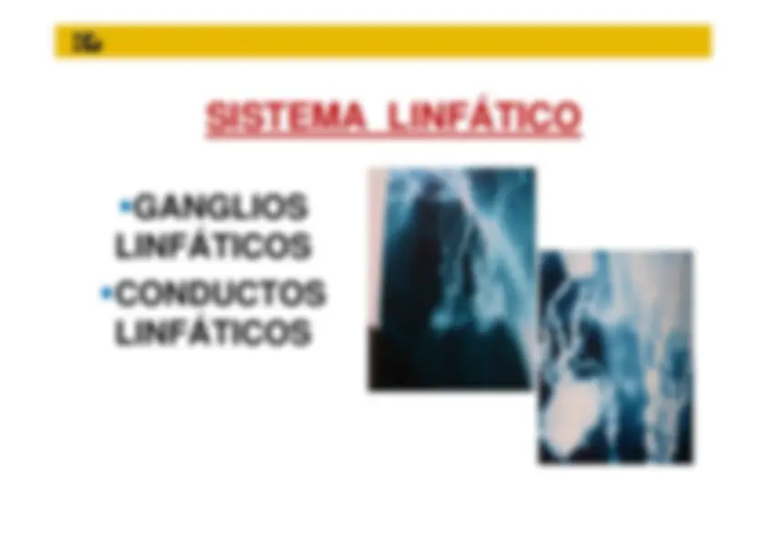 pf13