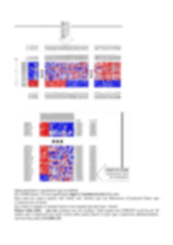 pf8
