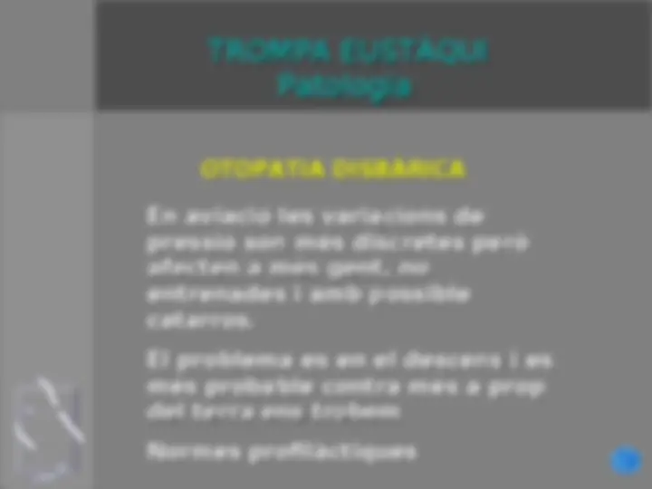 pf19