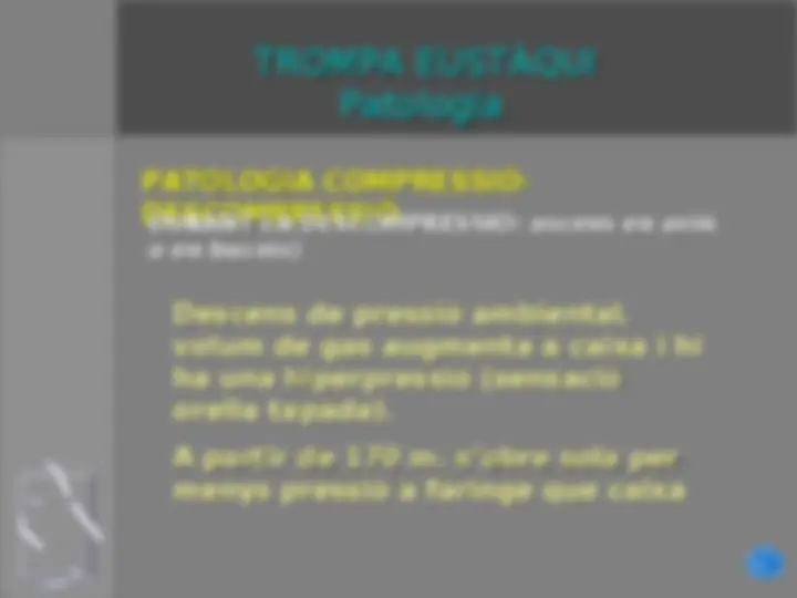 pf13