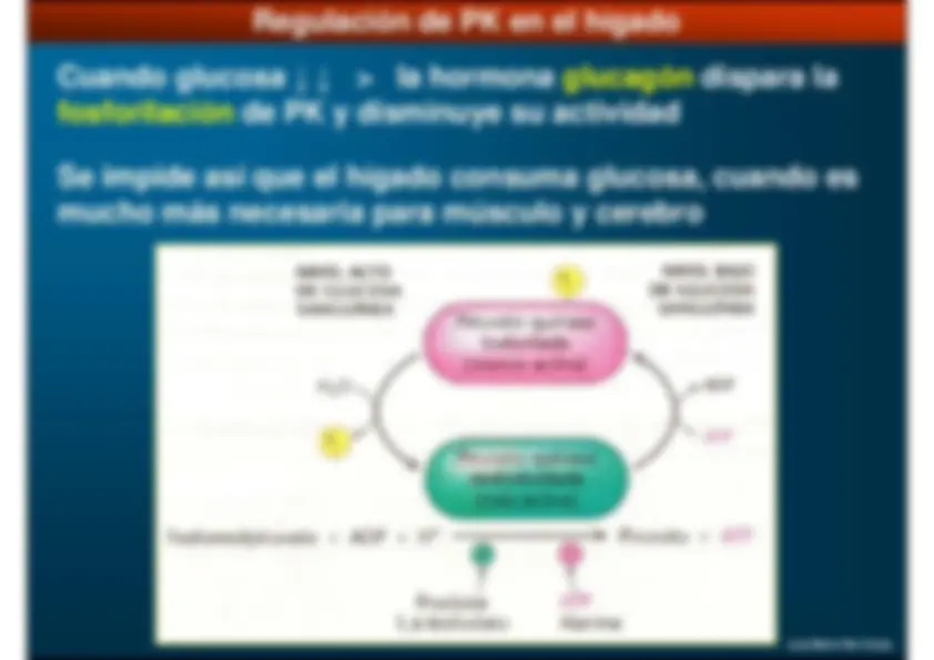 pf32