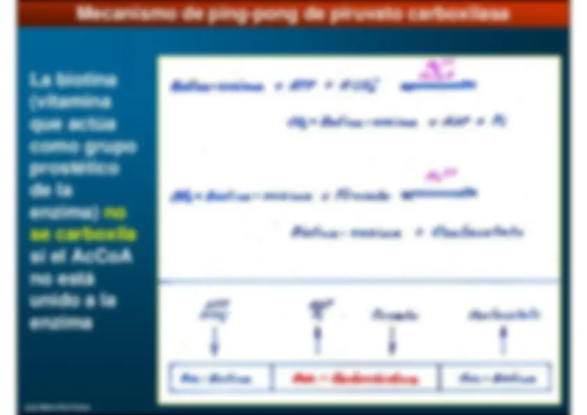 pf3b