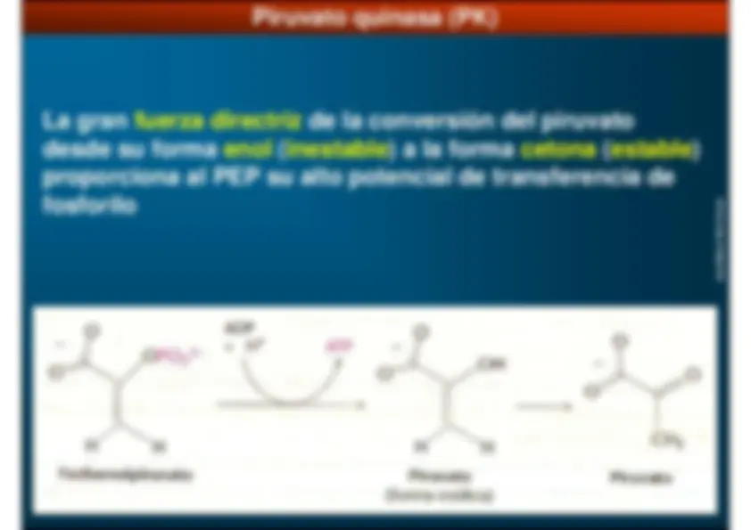 pf18