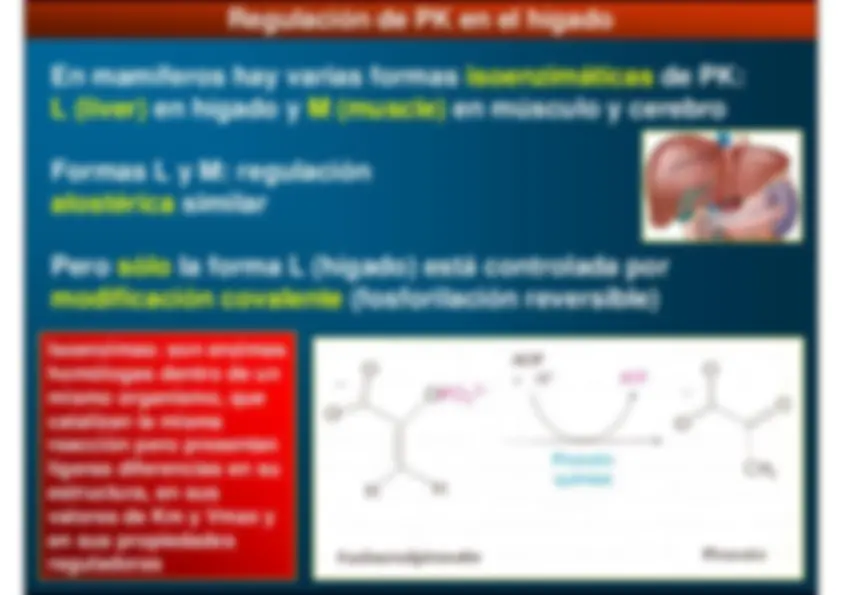 pf31