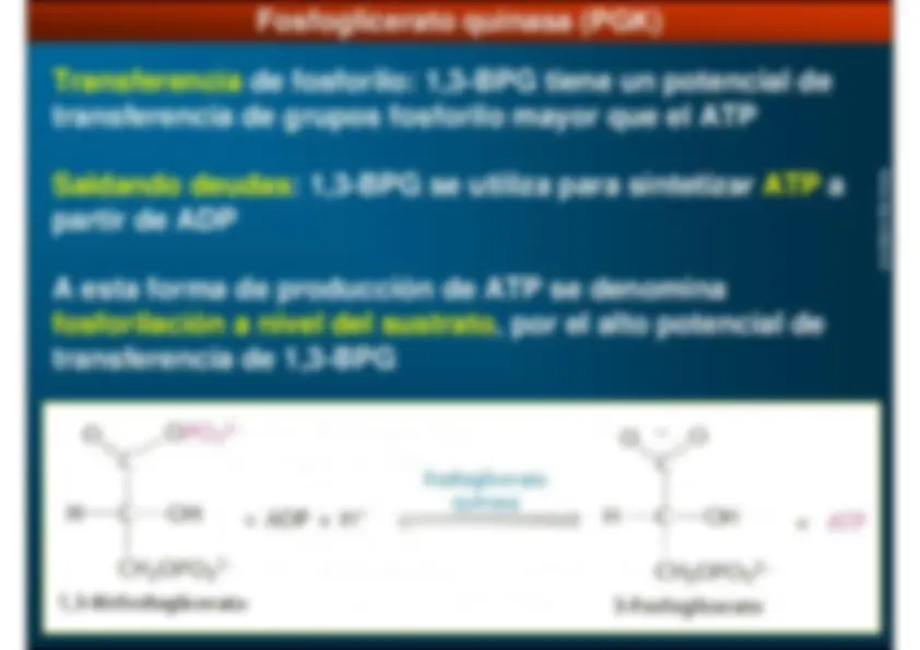 pf13
