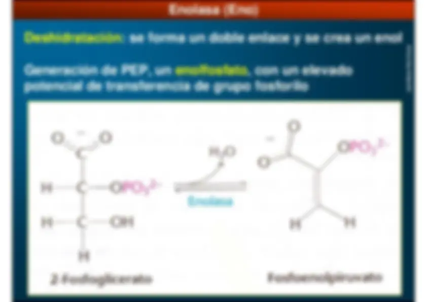 pf16