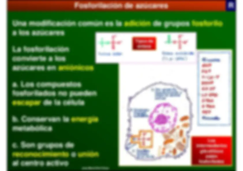 pf5
