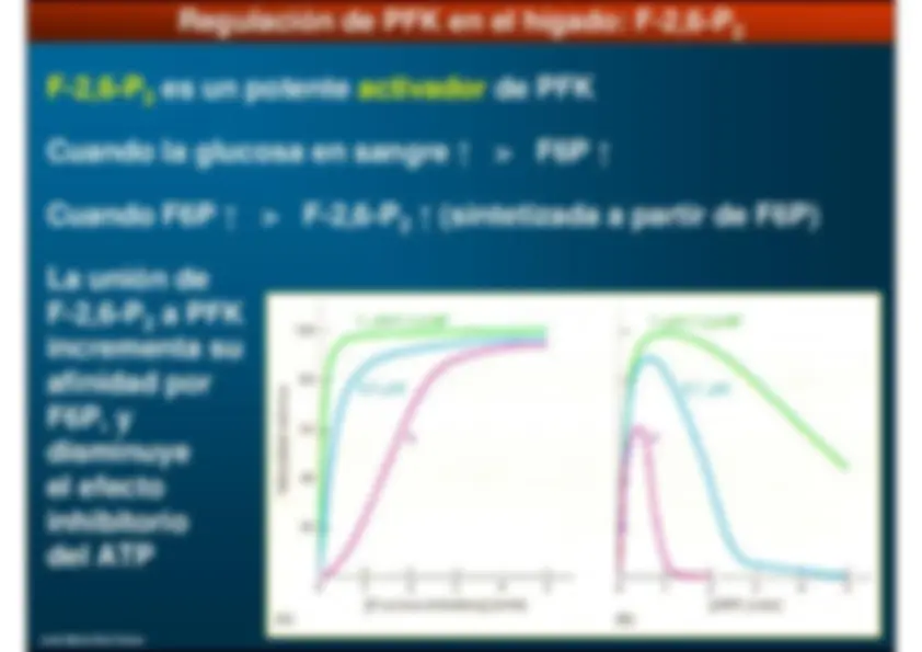 pf2e