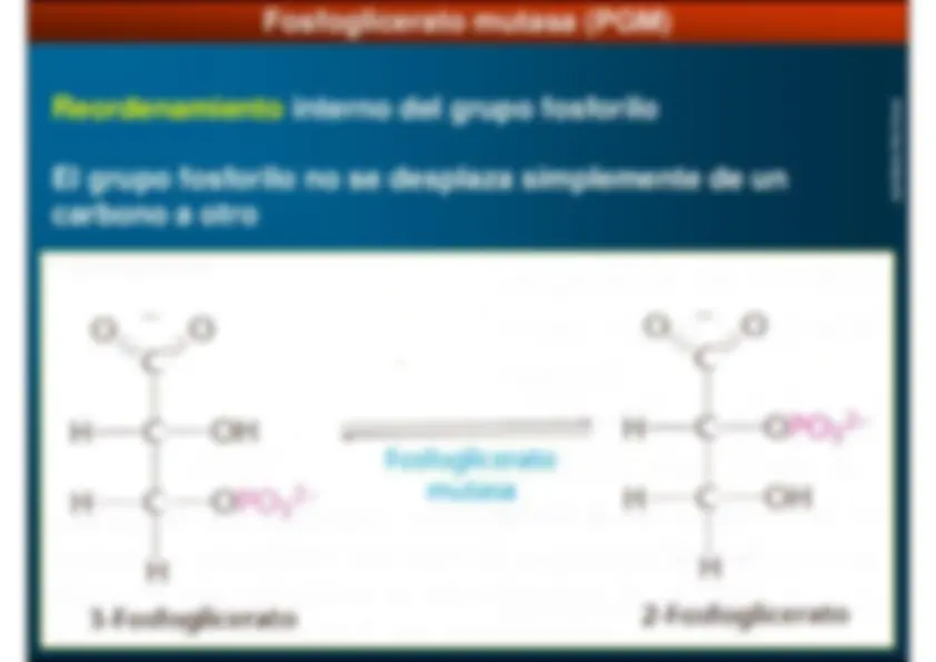 pf14