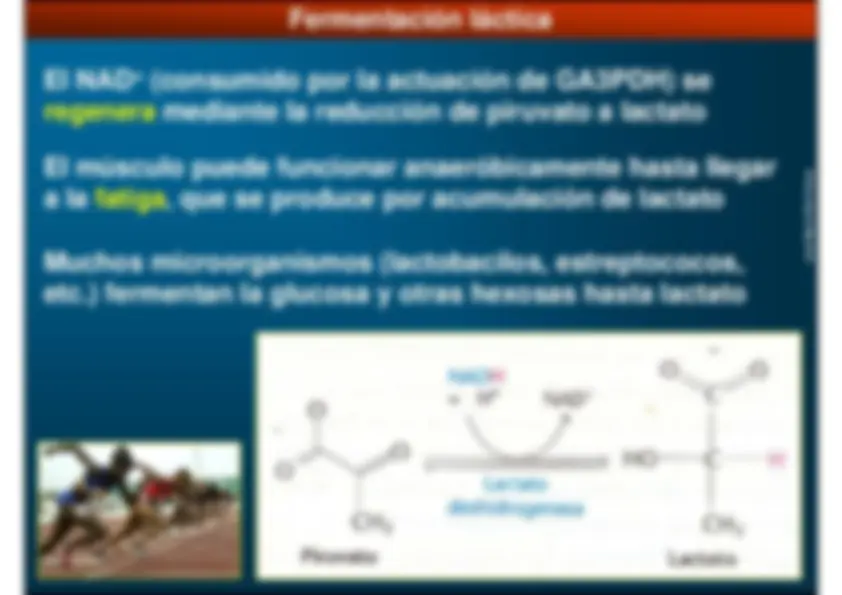 pf1b