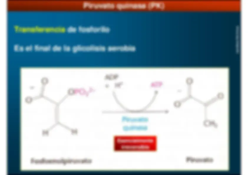 pf17