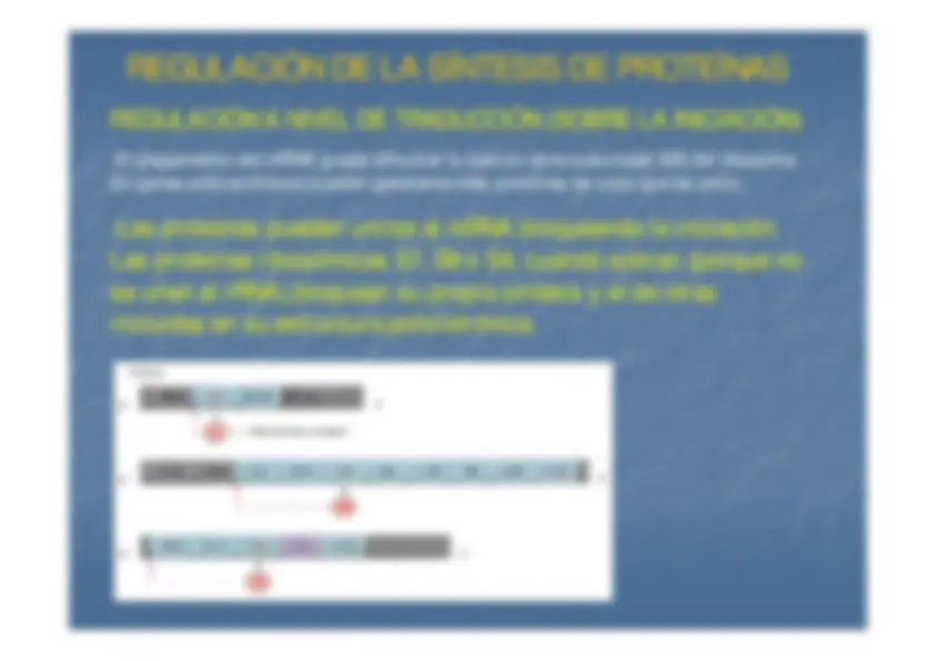 pf13