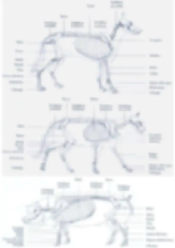pf2