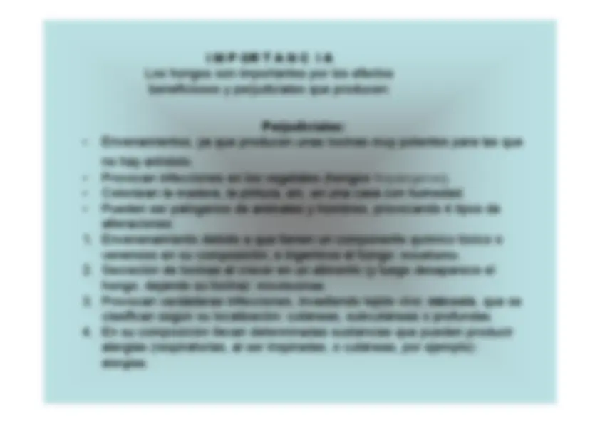 pf5