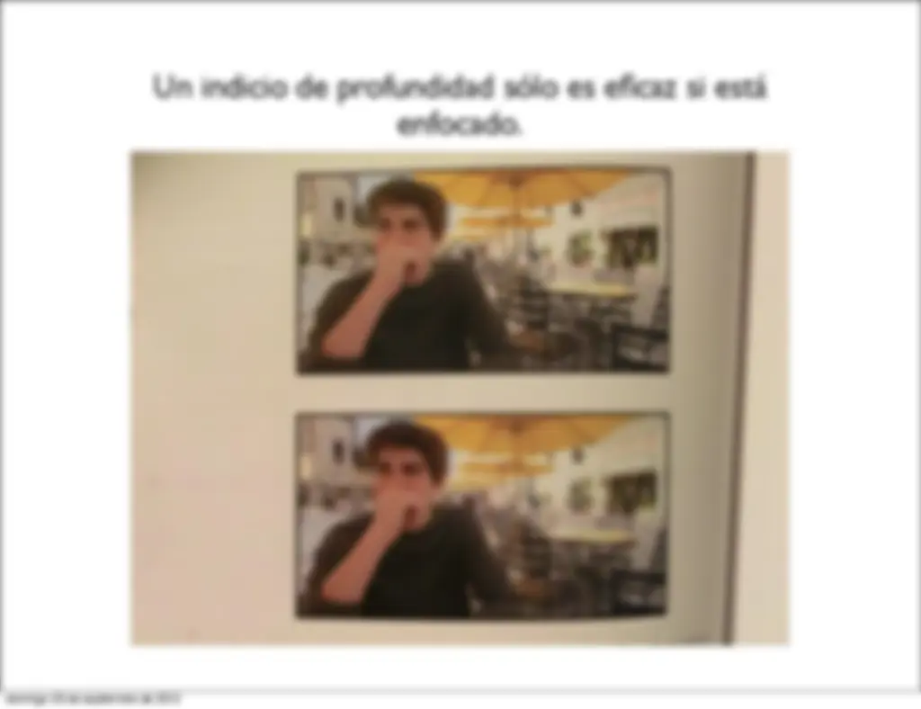 pf1d