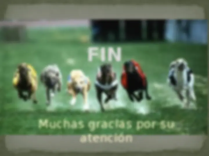 pf18