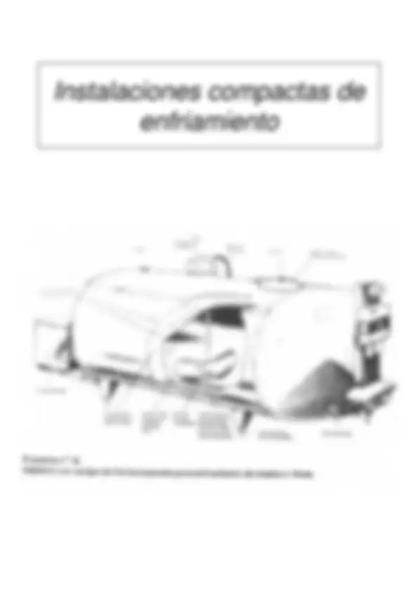 pf29