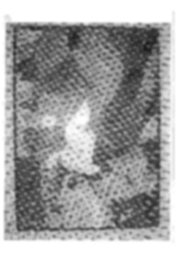 pf47