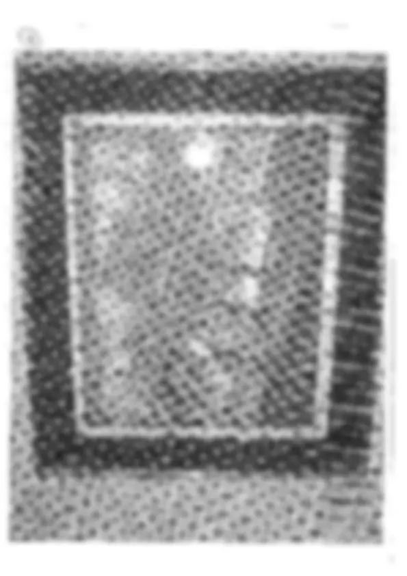 pf4e
