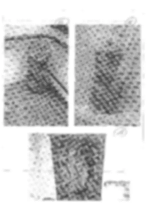 pf55