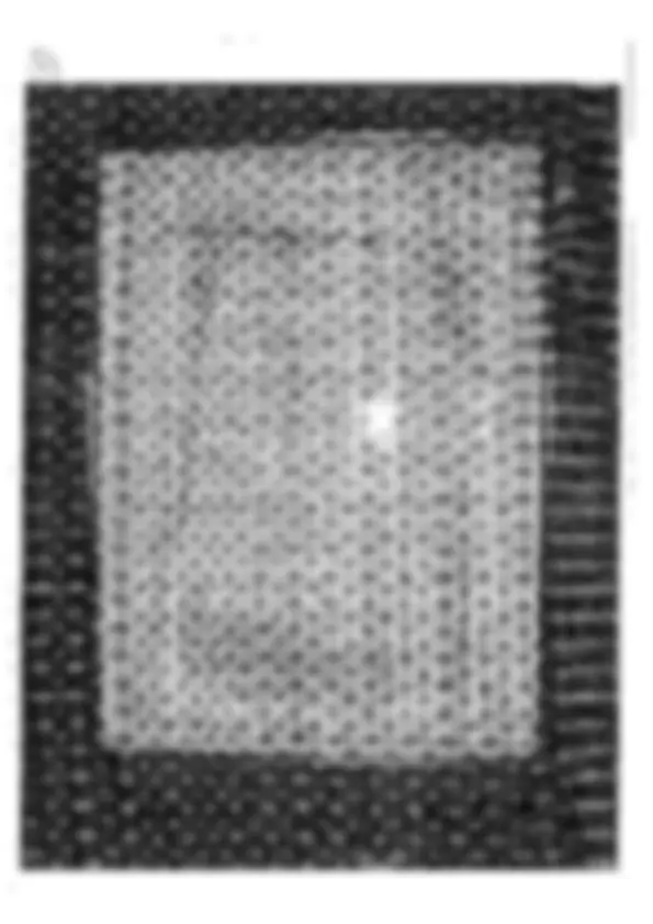 pf52