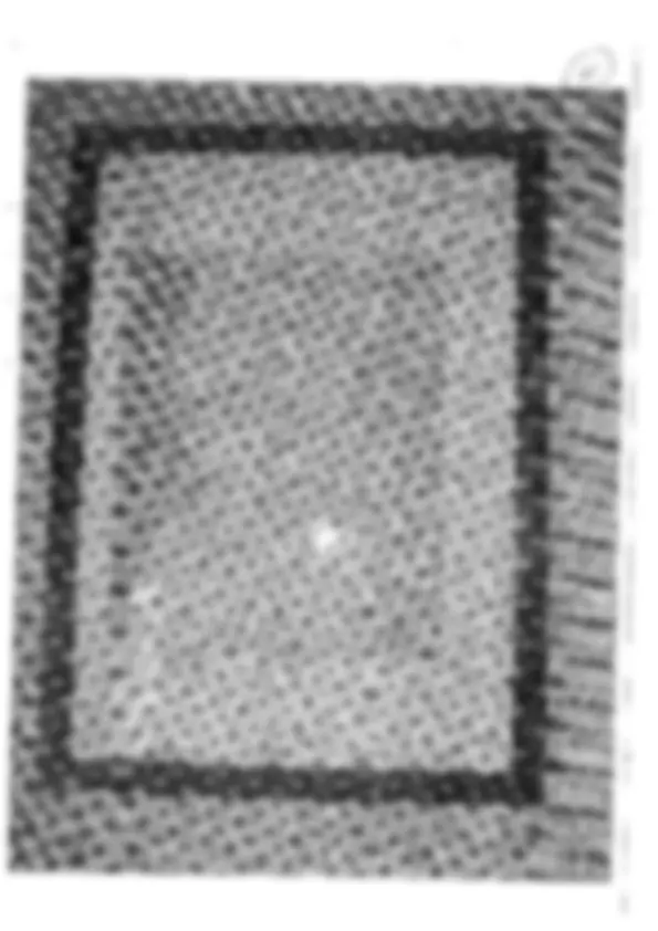 pf51