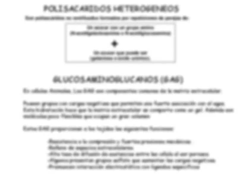 pf14