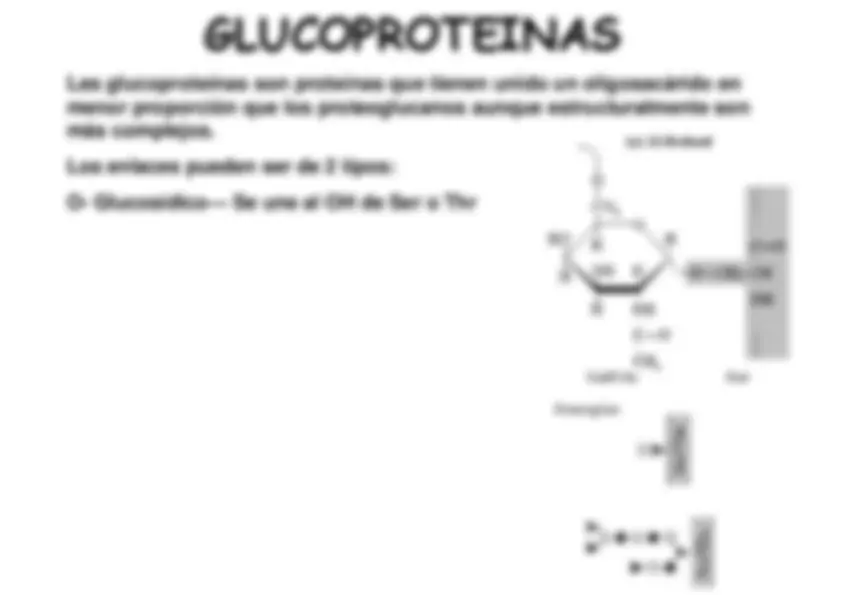 pf1f