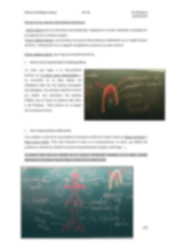 pfa