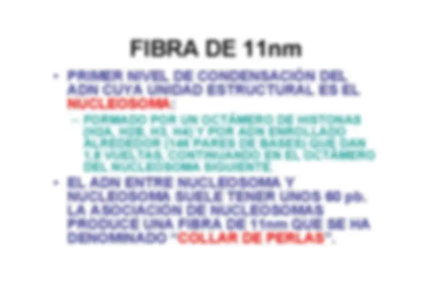 pf45
