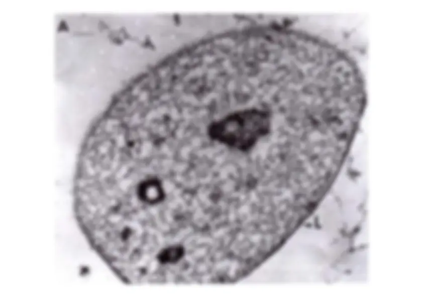 pf1a