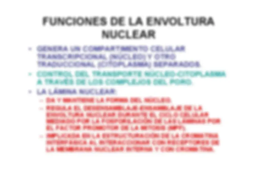 pf16
