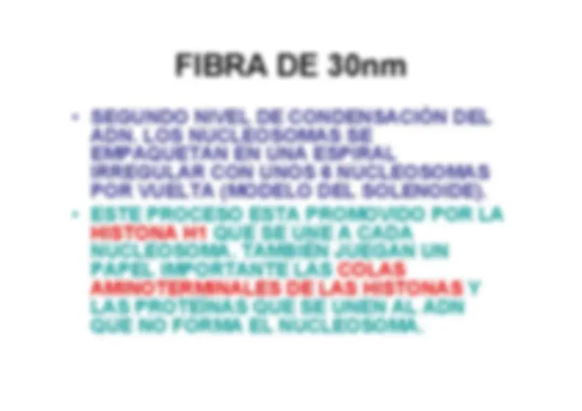 pf4c