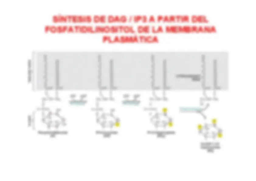 pf4a