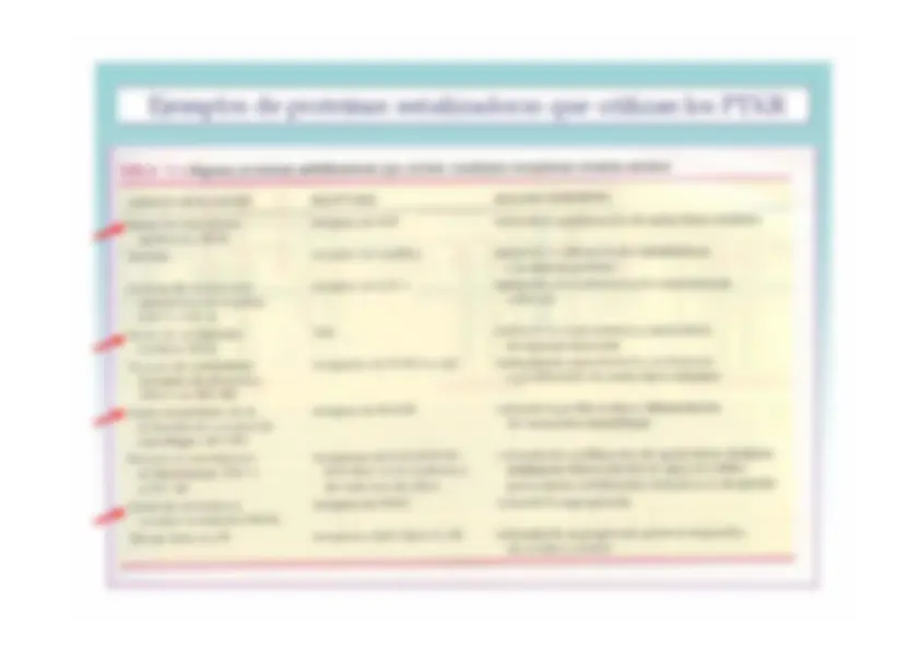 pf5a