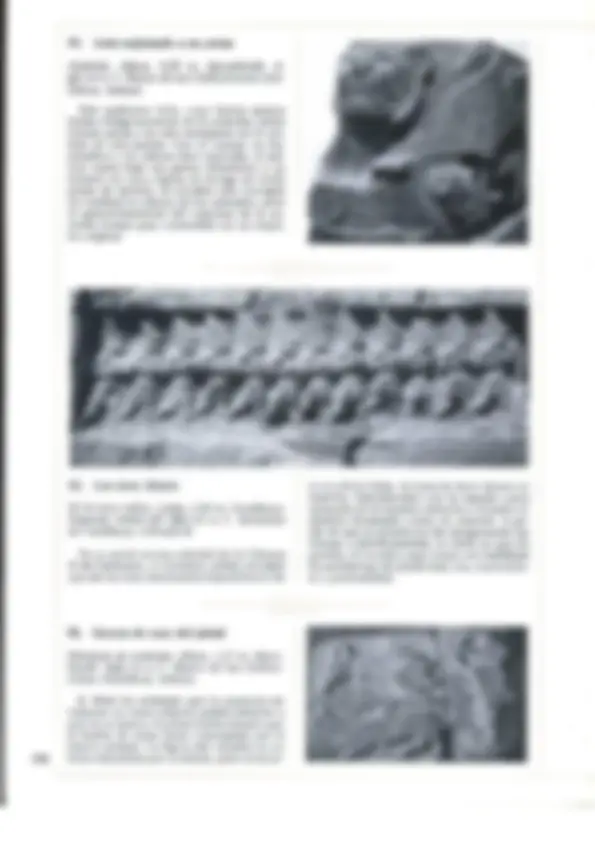 pf15