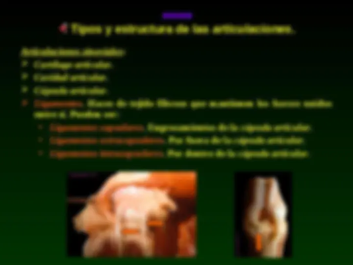 pfe