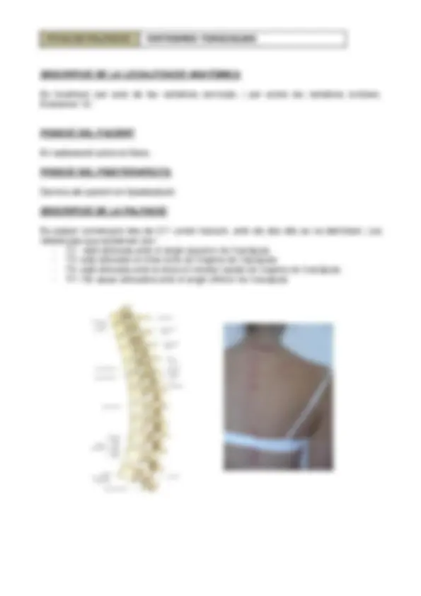 pf16